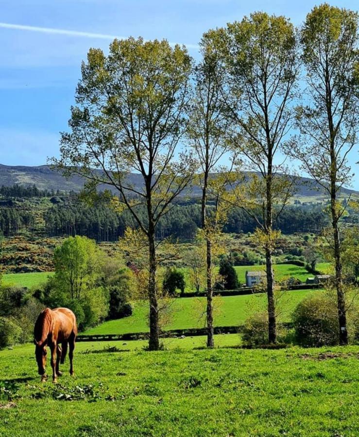 Greenvale Cabins Forkhill Kültér fotó